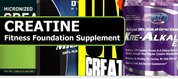 creatine fitness foundation supplement banner1