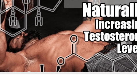 naturally increasing testosterone levels banner1