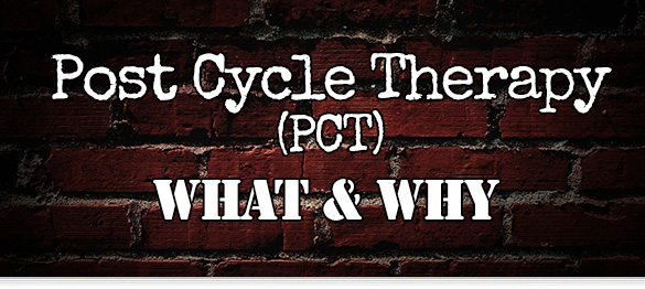 pct supplements what and why header