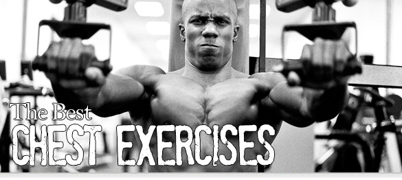 the best chest exercises header