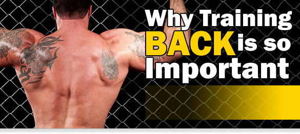 why training back is so important header