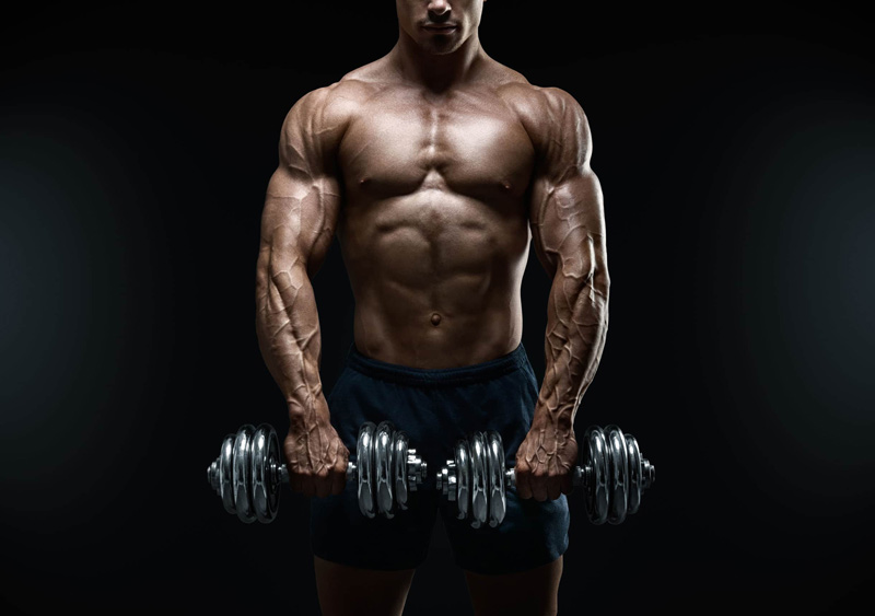 Man with Dumbells and Veins