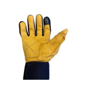 Schiek Lifting Gloves