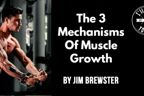 The 3 Mechanisms Of Muscle Growth